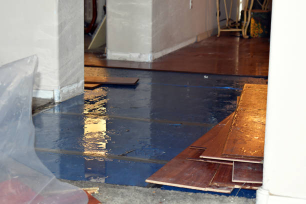 Professional Flood Damage Repair technician working in Rhododendron, OR